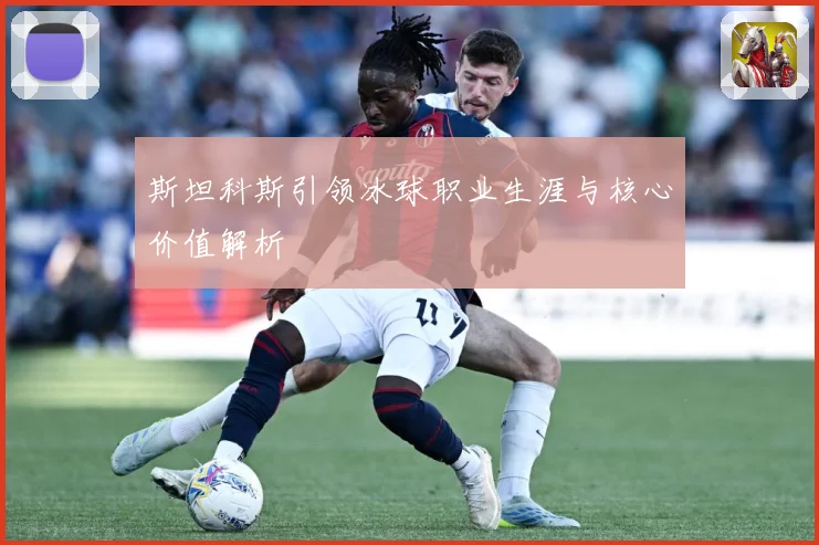 斯坦科斯引领冰球职业生涯与核心价值解析