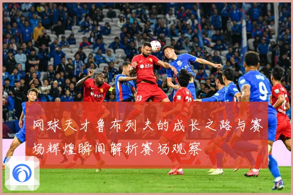 网球天才鲁布列夫的成长之路与赛场辉煌瞬间解析赛场观察