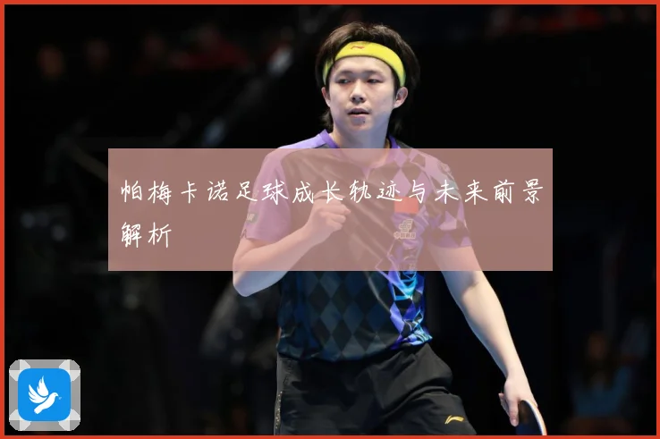 帕梅卡诺足球成长轨迹与未来前景解析